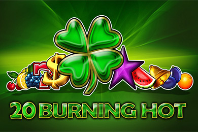 Egt Provide 20 Bh Мега Казино играть